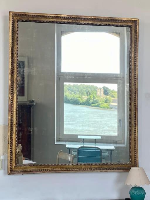 Vue Imprenable Sur Le Rhone Arles Camargue Appartement Buitenkant foto